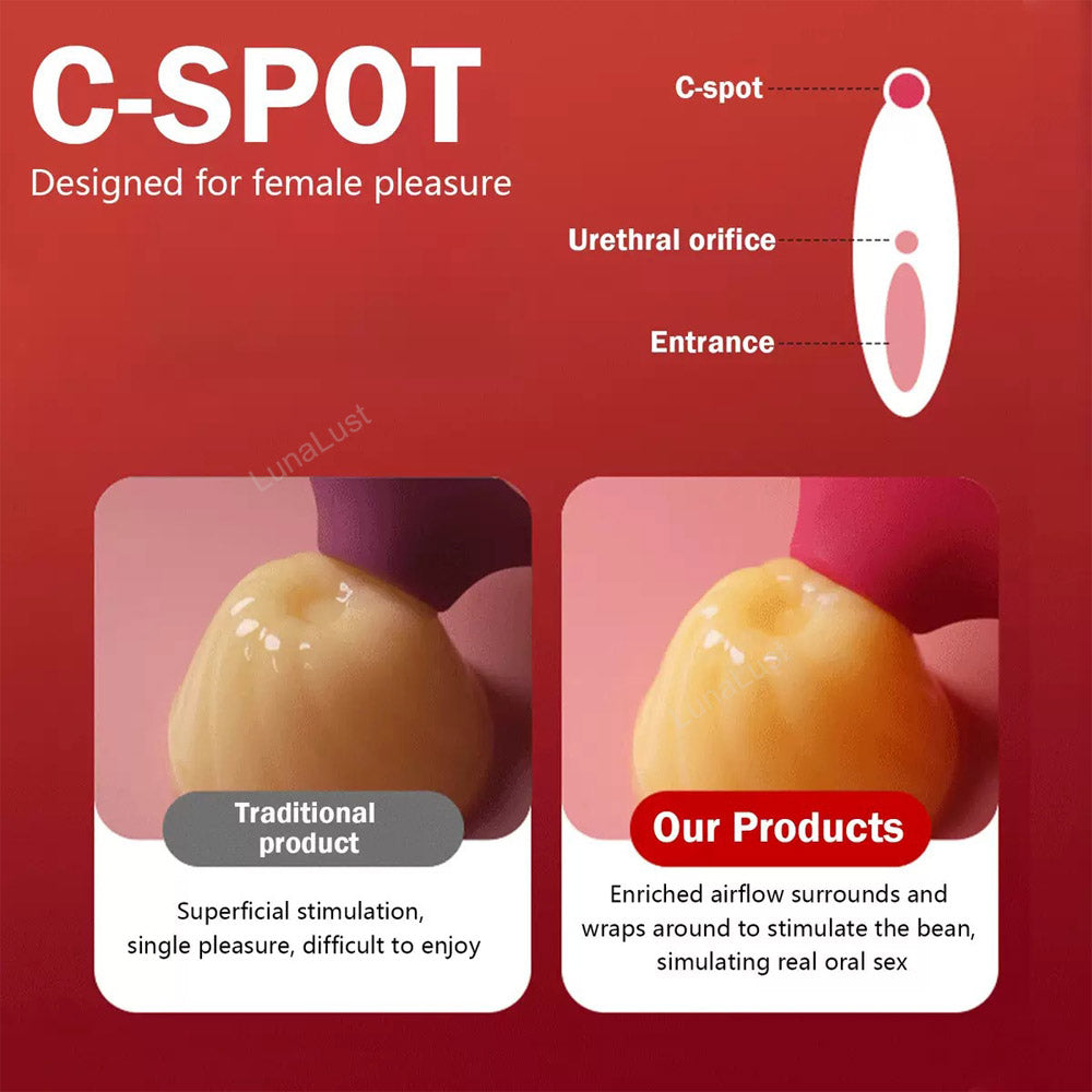 Suction Toys