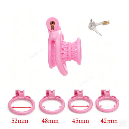 inverted chastity cage