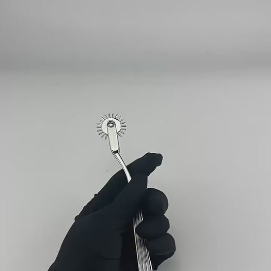 BDSM Pinwheel – Metal Sensory Wheel