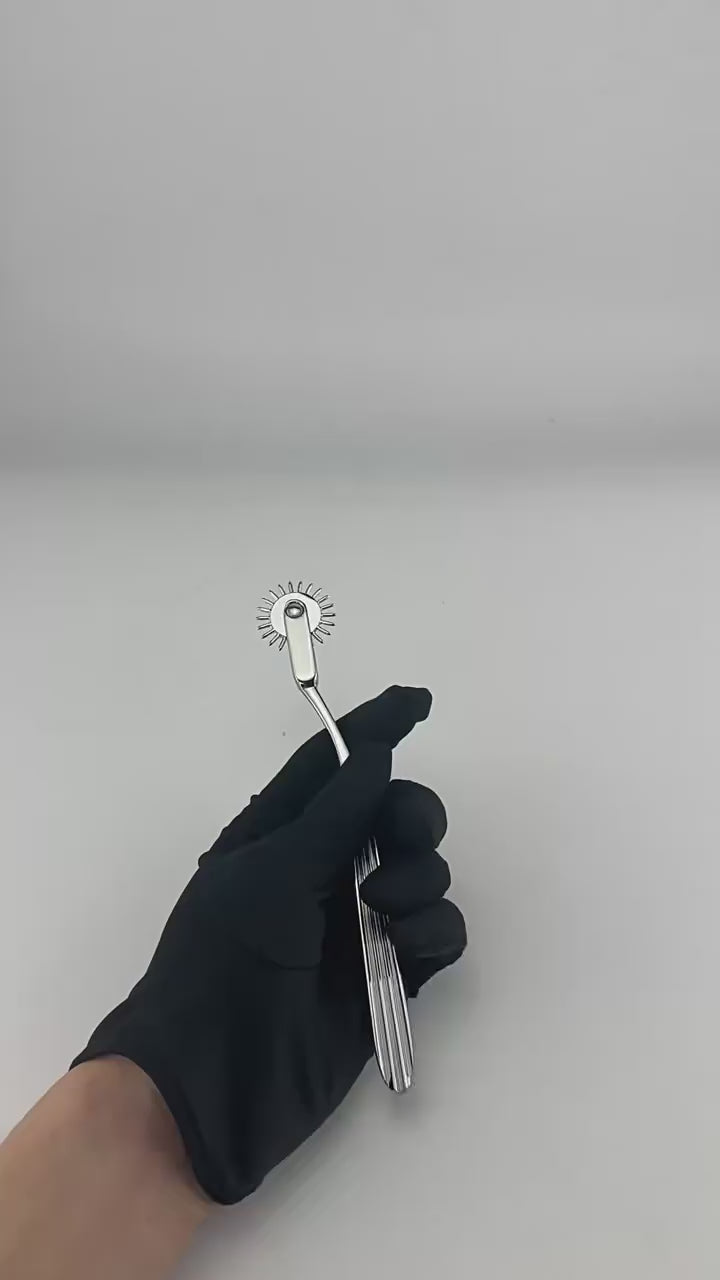 BDSM Pinwheel – Metal Sensory Wheel